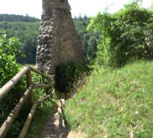 Burgruine Niederhaus