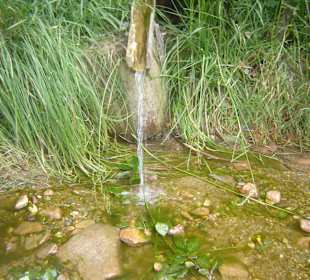 Parcul Natural Apuseni