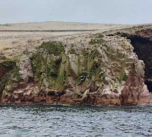 Ausflug Ballestas Inseln