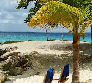 Saona Crusoe VIP Tour