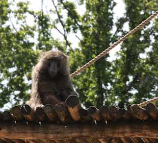 ZOOM Erlebniswelt Gelsenkirchen