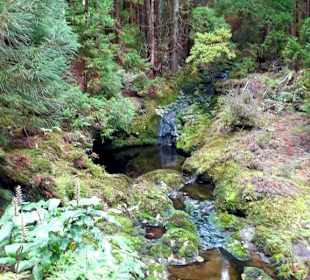 Inselrundfahrt Terceira