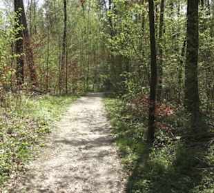 Wanderweg Hochgehwachsen