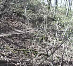 Wanderweg Hochgehkämpft