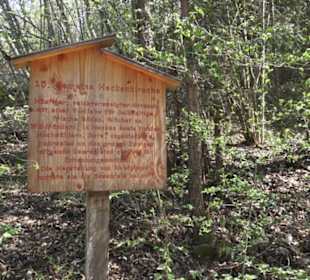 Waldlehrpfad an der Lauter