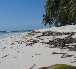Insel Saona III