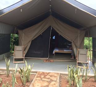 Zebra Plains Camp Amboseli