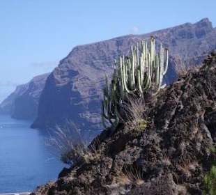 Los Gigantes