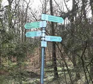 Gomaringer Rundweg - Zu den Giganten im Wald