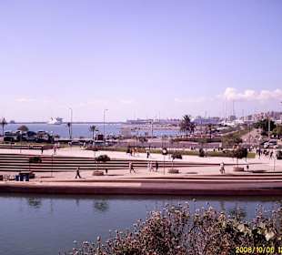 Hafen von Palma