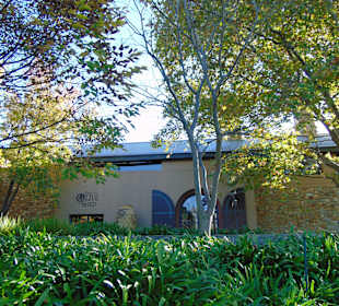 Weingut Tokara in Stellenbosch