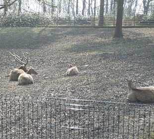 Zoo Ostrava