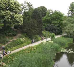 Alter Botanischer Garten