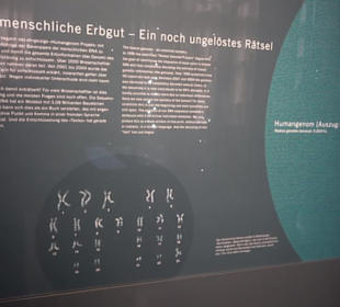 Museum für Naturkunde