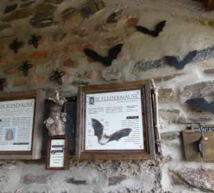 Rastplatz mit Erklärungen