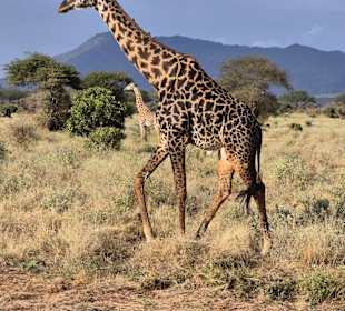 Imposant, ruhig und so schön