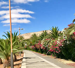 Strandwandern Costa Calma