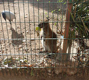 Vogelpark