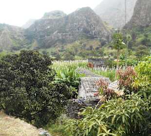 Torre-Paul Natural Park