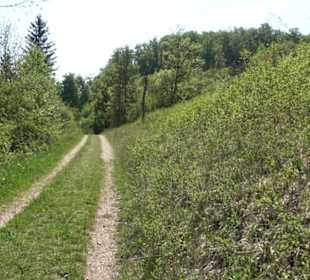 Premiumwanderweg Hochgehschätzt