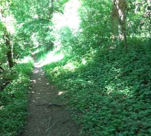Wanderweg Sieben-Täler-Runde 