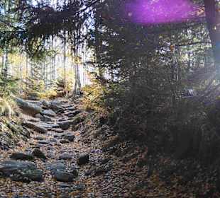 Riesengebirge/Karkonosze