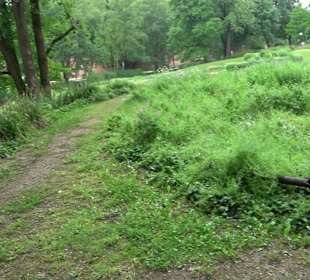 Baumlehrpfad Glacis Park