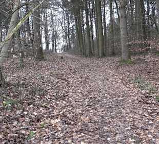 Unterjesinger Wengertwegle