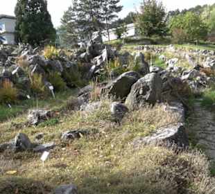 Alpinum