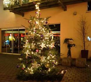 Mini-Weihnachtsbäume überall