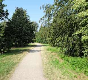 Sommer-Impressionen aus dem Park Links der Weser