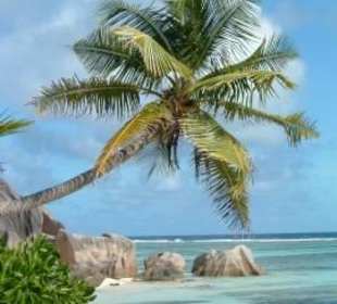 2. Versuch- hoffe dieses Mal ist mein Bild scharf