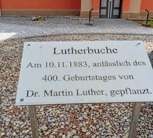 Lutherbaum