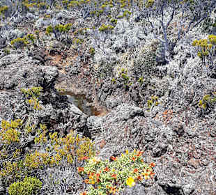 Wandern am Piton de la Fournaise