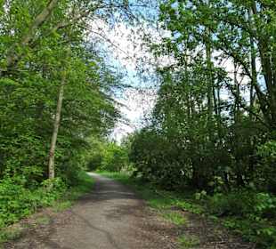 Eindrücke vom Rundgang im Seenpark