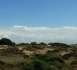 Spaziergang zum großen Strand nach Side