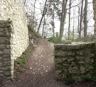 Rusenschloss