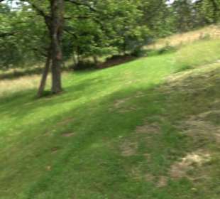 Premiumspazierweg Früchtetrauf-Leisawegle