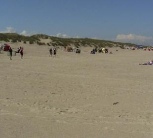 Viel Platz zum Spielen