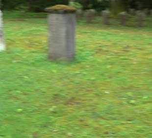 Waldfriedhof Degerloch