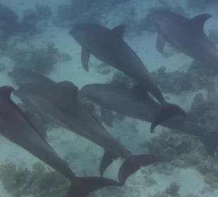 21.9.2018 einfach nur schon