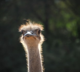 ...manche besonders...!