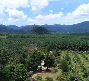 Khao Sok