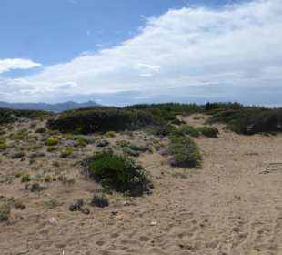 Wanderung durch die Dünen / Dunes de Son Real