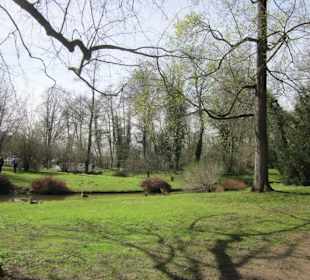 Schlossgarten Schwetzingen
