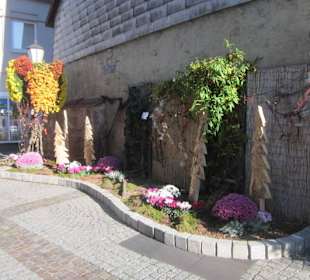 Chrysanthema Lahr