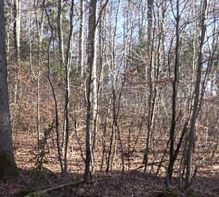 Naturerlebnispfad Meidelstetten