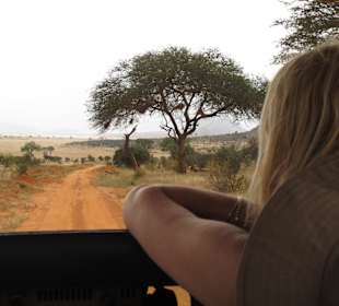 Die rote Erde von Tsavo