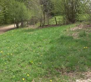 Wanderparkplatz Steighof