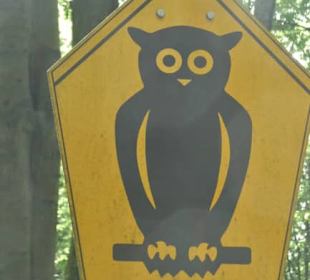 Bei der Rundwanderung Extratour Kuppenweg